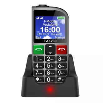 EVOLVEO EasyPhone FM, mobilní telefon pro seniory s nabíjecím stojánkem (stříbrná barva)