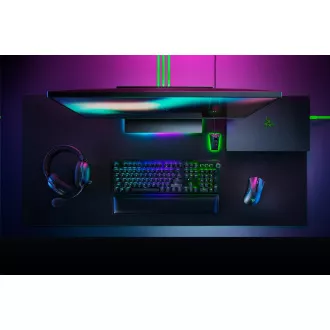 RAZER myš DeathAdder V2 Pro, Ergonomics Gaming Mouse