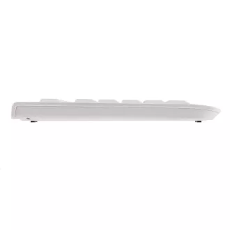 CHERRY klávesnice KC 1000, USB, EU, světle šedá
