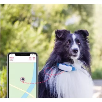 Tractive GPS DOG 4 LTE – sledování polohy a aktivity pro psy - bílá Tractive GPS DOG 4 LTE – sledování polohy a aktivity pro psy - bílá