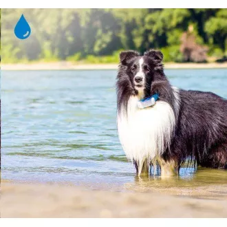 Tractive GPS DOG 4 LTE – sledování polohy a aktivity pro psy - bílá Tractive GPS DOG 4 LTE – sledování polohy a aktivity pro psy - bílá