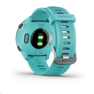 Garmin GPS sportovní hodinky Forerunner 55 Blue