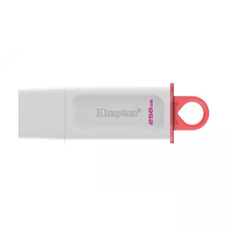 Kingston Flash Disk 256GB USB3.2 Gen1 DataTraveler Exodia (White + Pink)