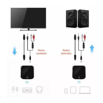 CARNEO BT-269 bluetooth audio receiver a transceive
