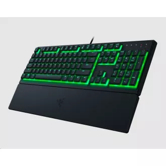 RAZER klávesnice Ornata V3 X, US Layout