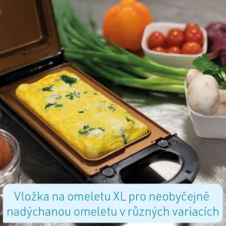 Livington Flip Switch multifunkční gril
