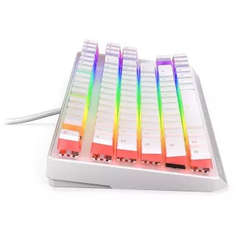 Endorfy herní klávesnice Thock TKL OWH Pudd.Khail BR RGB /USB/ brown sw./ drátová / mechanická / US layout / bílá RGB