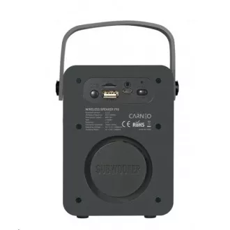 CARNEO F90 FM rádio, bluetooth reproduktor, black/wood