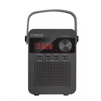 CARNEO F90 FM rádio, bluetooth reproduktor, black/wood