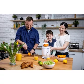 Lauben Electric Citrus Juicer 110WT - odšťavňovač
