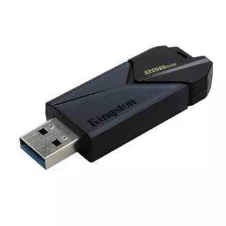256GB Kingston USB 3.2 DT Exodia Onyx 256GB Kingston USB 3.2 DT Exodia Onyx