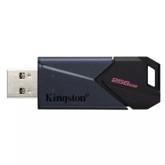 256GB Kingston USB 3.2 DT Exodia Onyx 256GB Kingston USB 3.2 DT Exodia Onyx