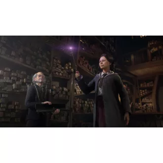 PS5 hra Hogwarts Legacy