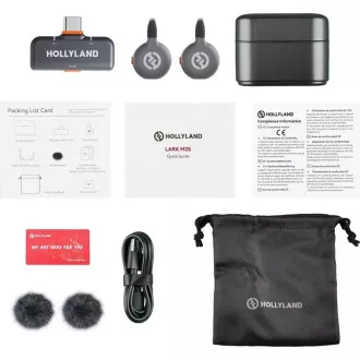Hollyland LARK M2S Duo Wireless Lavalier Microphone with USB-C Plug (Duo, Space Gray)