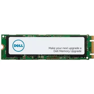 DELL M.2 PCIe NVME Class 40 2280 Solid State Drive - 1TB