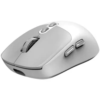 GENIUS myš NX-8080S BT/ duální Bluetooth + 2, 4GHz/ 1600 dpi/ Copilot/ bezdrátová/ tichá/ bílošedá