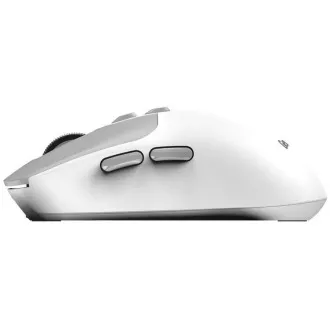 GENIUS myš NX-8080S BT/ duální Bluetooth + 2, 4GHz/ 1600 dpi/ Copilot/ bezdrátová/ tichá/ bílošedá
