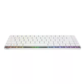 ASUS klávesnice ROG FALCHION RX Low profile (ROG NX Snow), US
