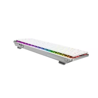 ASUS klávesnice ROG FALCHION RX Low profile (ROG NX Snow), US