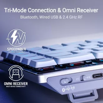 ASUS klávesnice ROG FALCHION RX Low profile (ROG NX Snow), US