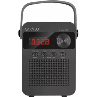 CARNEO F90 FM rádio, bluetooth reproduktor, black/wood