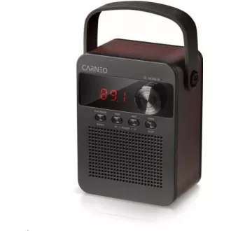 CARNEO F90 FM rádio, bluetooth reproduktor, black/wood