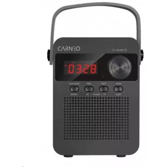 CARNEO F90 FM rádio, bluetooth reproduktor, black/wood