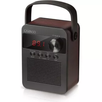 CARNEO F90 FM rádio, bluetooth reproduktor, black/wood