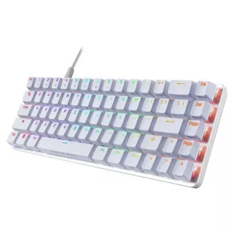 ASUS klávesnice ROG FALCHION ACE Moonlight White, mechanická, USB, US, bílá