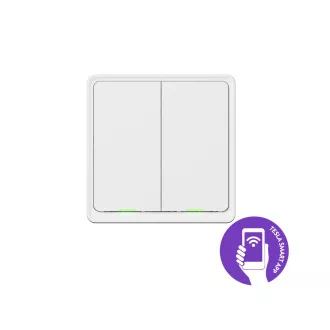 Tesla Smart Switch Dual ZigBee Tesla Smart Switch Dual ZigBee