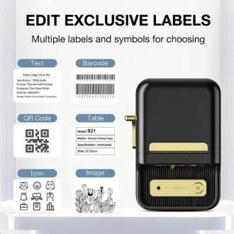 Niimbot Tiskárna štítků B21S Smart, černá + role štítků 210ks