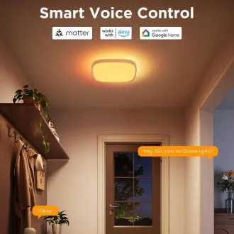 Govee RGBICWW Smart kulaté stropní světlo 2400lm 30cm Matter