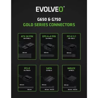 EVOLVEO G650 zdroj 650W, 80+ GOLD, ATX 3.1, aPFC, 140 mm ventilátor