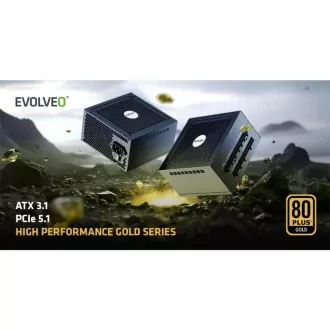 EVOLVEO G850 zdroj 850W, 80+ GOLD, ATX 3.1, aPFC, 140 mm ventilátor