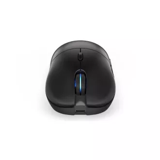 Endorfy myš GEM Plus Wireless PAW3395 / Khail GM 8.0 / bezdrátová / černá
