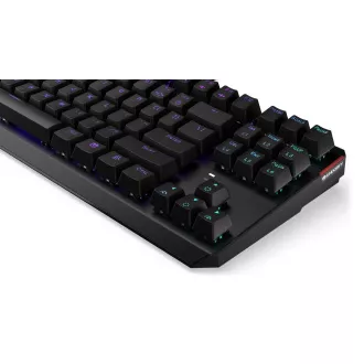 Endorfy herní klávesnice Thock TKL Red / drátová / USB / red switch / mechanická / CZ layout / černá RGB