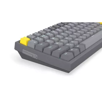 Endorfy herní klávesnice Celeris 1800, bezdrátová, yellow switch, mechanická, CZ layout, RGB