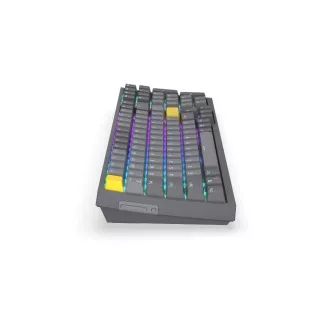 Endorfy herní klávesnice Celeris 1800, bezdrátová, yellow switch, mechanická, US layout, RGB