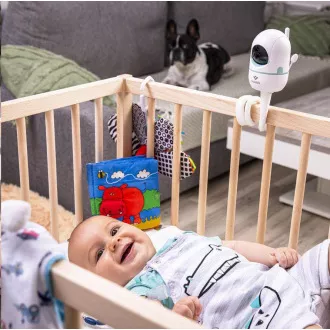 TrueLife NannyCam Holder