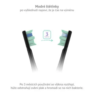 TrueLife SonicBrush Clean-series heads Standard black 8 pack