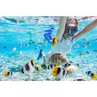 AGFAPHOTO Realimove CC4000W Black