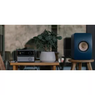 WiiM Vibelink Amp - Grey