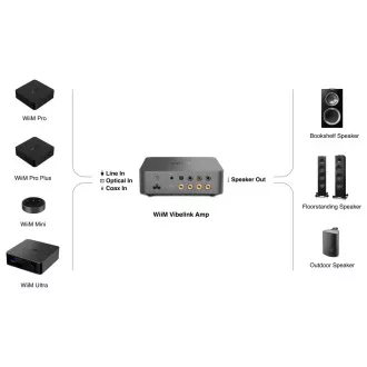 WiiM Vibelink Amp - Silver
