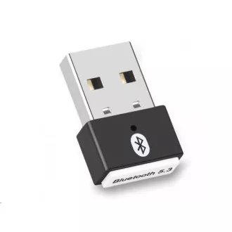 WG - Adaptér Mini Bluetooth 5.3