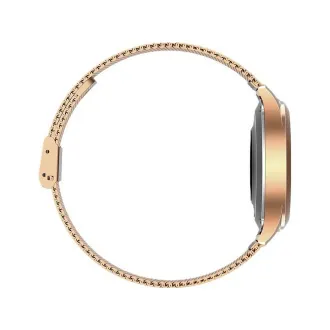 MaxCom Smartwatch FW42 Gold MaxCom Smartwatch FW42 Gold