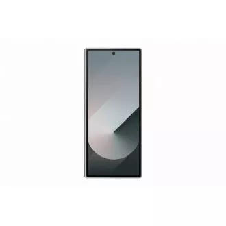 Samsung Galaxy Z Fold 6, 256GB, 5G, Silver Shadow, CZ distribuce
