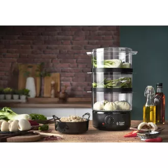 26530-56 PARNÍ HRNEC RUSSELL HOBBS - Použité