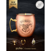 Charmed Aroma Vonná svíčka Harry Potter Copper