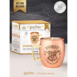 Charmed Aroma Vonná svíčka Harry Potter Copper