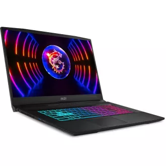 Katana 17 B12UDXK-886CZ 16/512G W11H MSI
